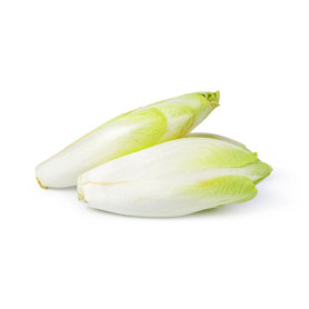 INDIVIA BELGA