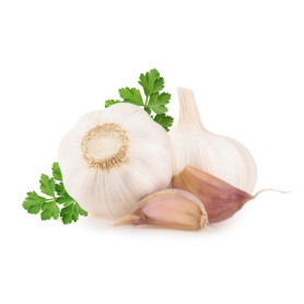 AGLIO BIO 150G