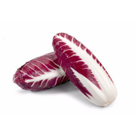 RADICCHIO ROSSO IN BUSTA 175G
