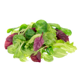 INSALATA ICEBERG E RADICCHIO 220G