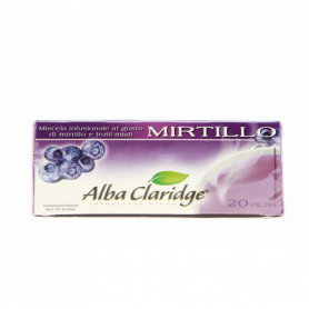 INFUSO GUSTO MIRTILLO E FRUTTI ROSSI 20x40G