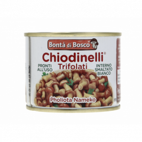 FUNGHI CHIODINI TRIFOLATI IN LATTA 180G