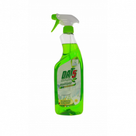 SPRAY VETRI ECOLOGICO 1L