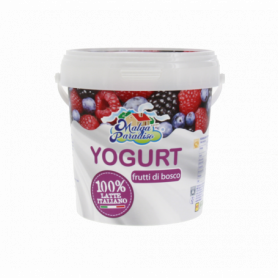 YOGURT INTERO AI FRUTTI DI BOSCO 1KG