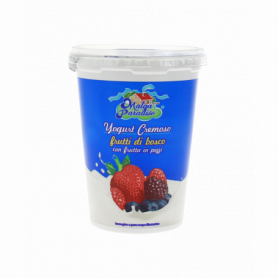 YOGURT CREMOSO FRUTTI DI BOSCO CON FRUTTA IN PEZZI 500G