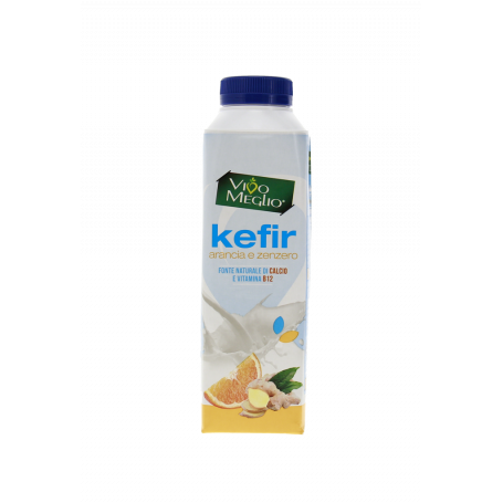 LATTE DI KEFIR FRUTTI MISTI 480G