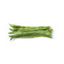 FAGIOLI MARCONI 500G