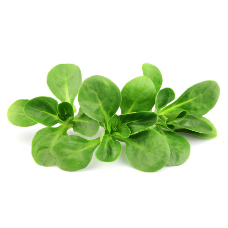 VALERIANA IN CONFEZIONE 125G