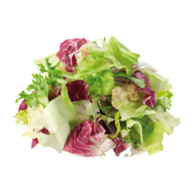 INSALATA MISTA IN BUSTA 500G