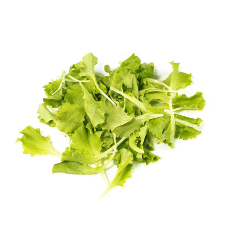 INSALATA LATTUGHINO IN BUSTA 250G