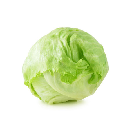 INSALATA ICEBERG AL PZ