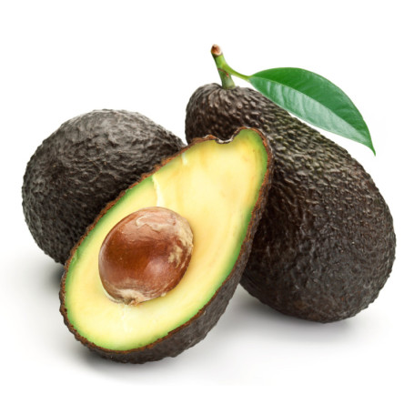 AVOCADO