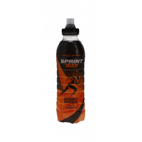 INTEGRATORE IDROSALINO ARANCIA 500ML