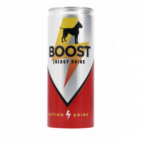 ENERGY DRINK BOOST 0,25L