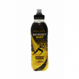 INTEGRATORE IDROSALINO LIMONE 500ML