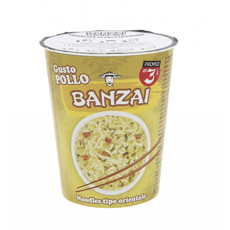 NOODLES GUSTO POLLO 67G