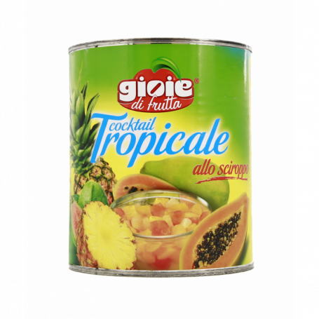 MACEDONIA SCIROPPATA TROPICALE 500G