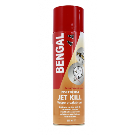 INSETTICIDA VESPE E CALABRONI ML.500
