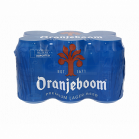 BIRRA BIONDA IN LATTINA 5% VOL.ALC. 6X0,33L