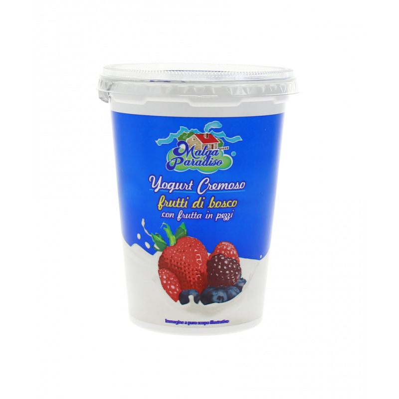 YOGURT CREMOSO FRUTTI DI BOSCO CON FRUTTA IN PEZZI 500G