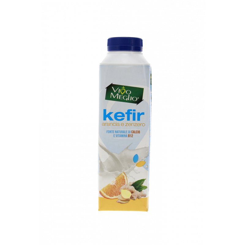 LATTE DI KEFIR FRUTTI MISTI 480G