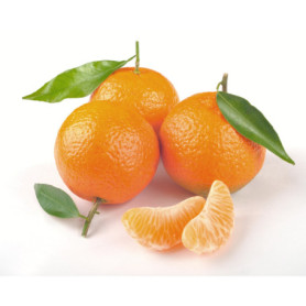 CLEMENTINE DI CALABRIA IGP 1KG