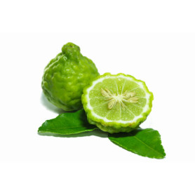 BERGAMOTTO IN RETE 600G