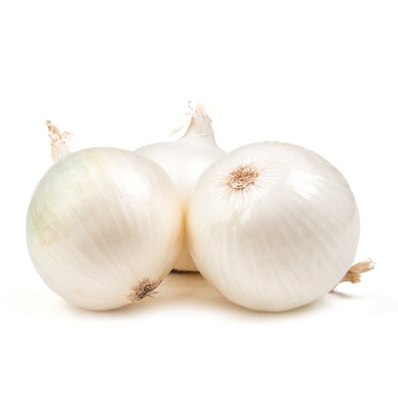 CIPOLLA BIANCA 1KG
