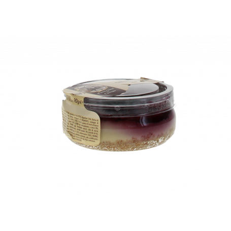 CHEESECAKE MIRTILLI 90G