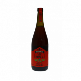 BIRRA BIONDA ARTIGIANALE  0,75L