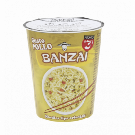 NOODLES GUSTO POLLO 67G