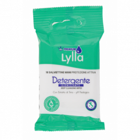 10 SALVIETTE IGIENIZZANTI