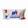 SALVIETTE IGIENIZZANTI CASA 60PZ