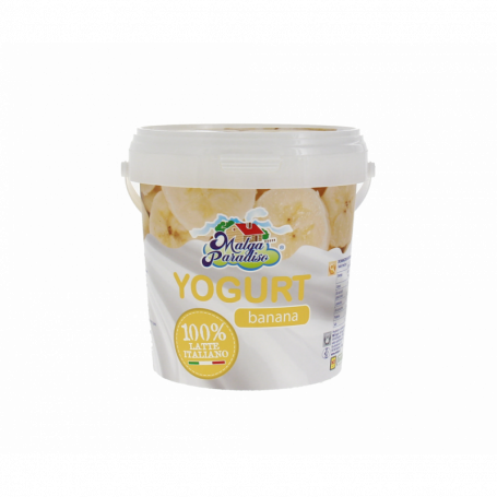 YOGURT ALL'ALBICOCCA 1KG